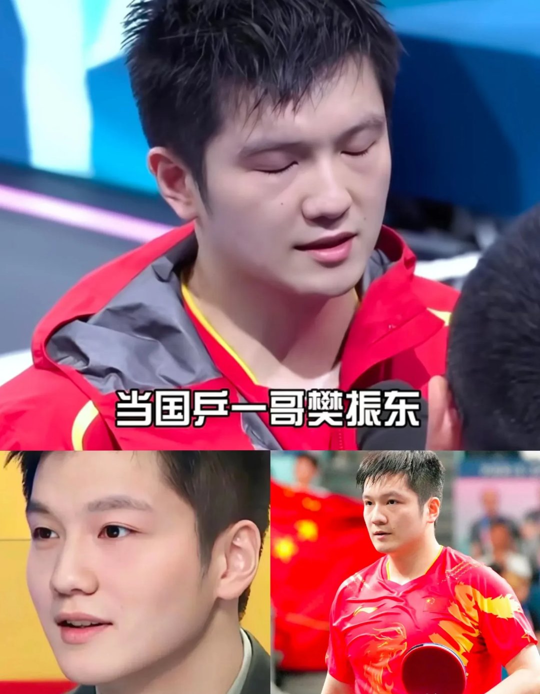 波兰乒乓球队力克日本乒乓球队，樊振东完成帽子戏法的简单介绍