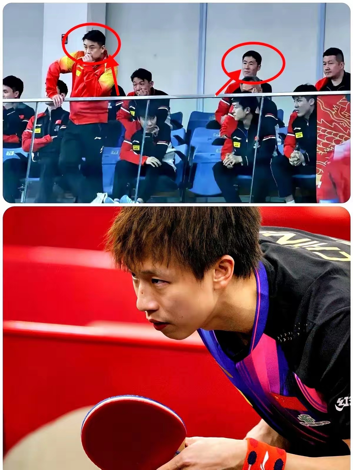 德国乒乓球队绝杀英国乒乓球队，王皓送出助攻