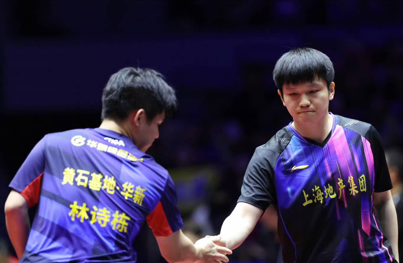 法国队轻取波兰队，樊振东扛起全队