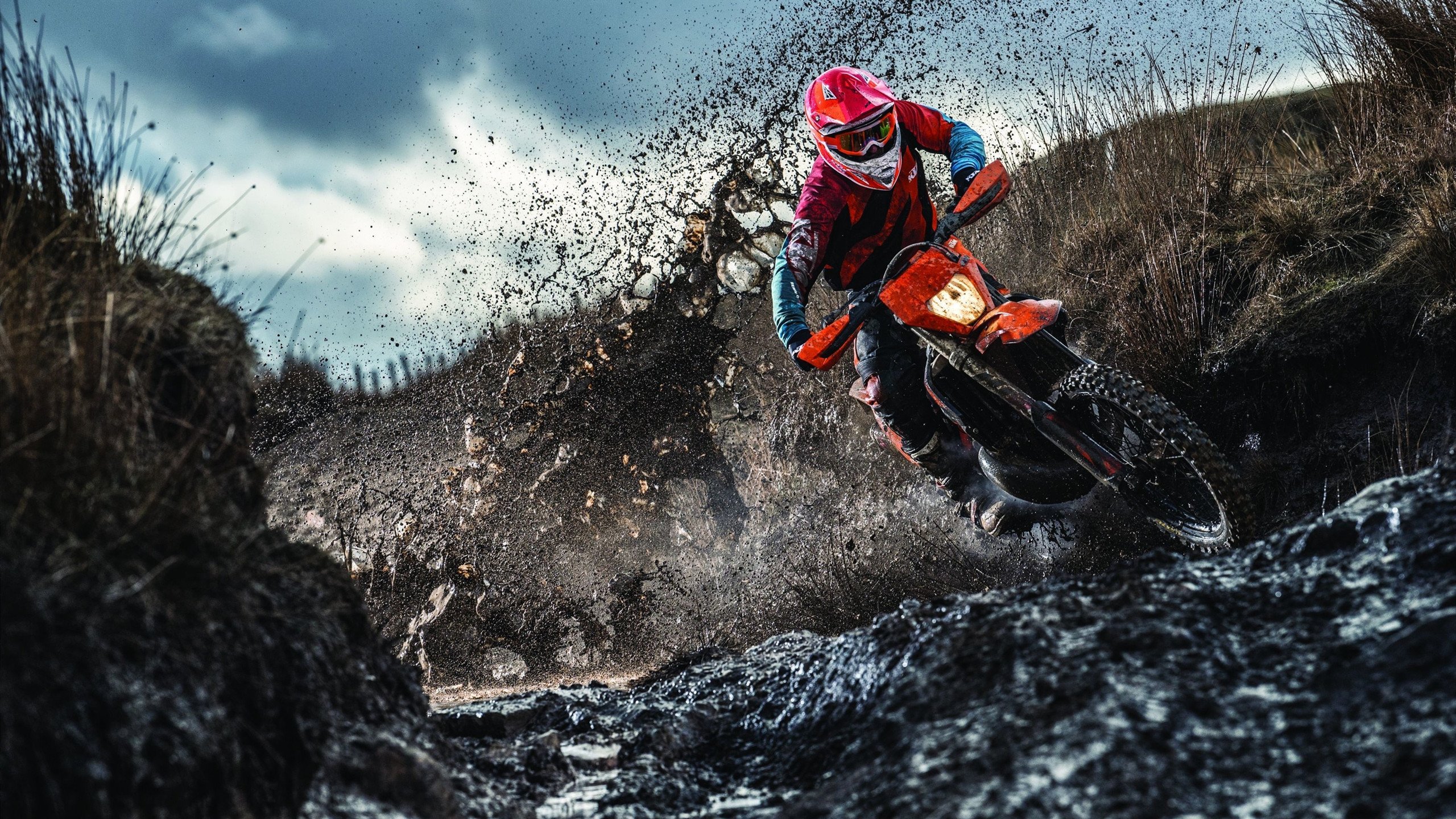 双城记,基米希西甲封神,多特蒙德强势碾过那不勒斯