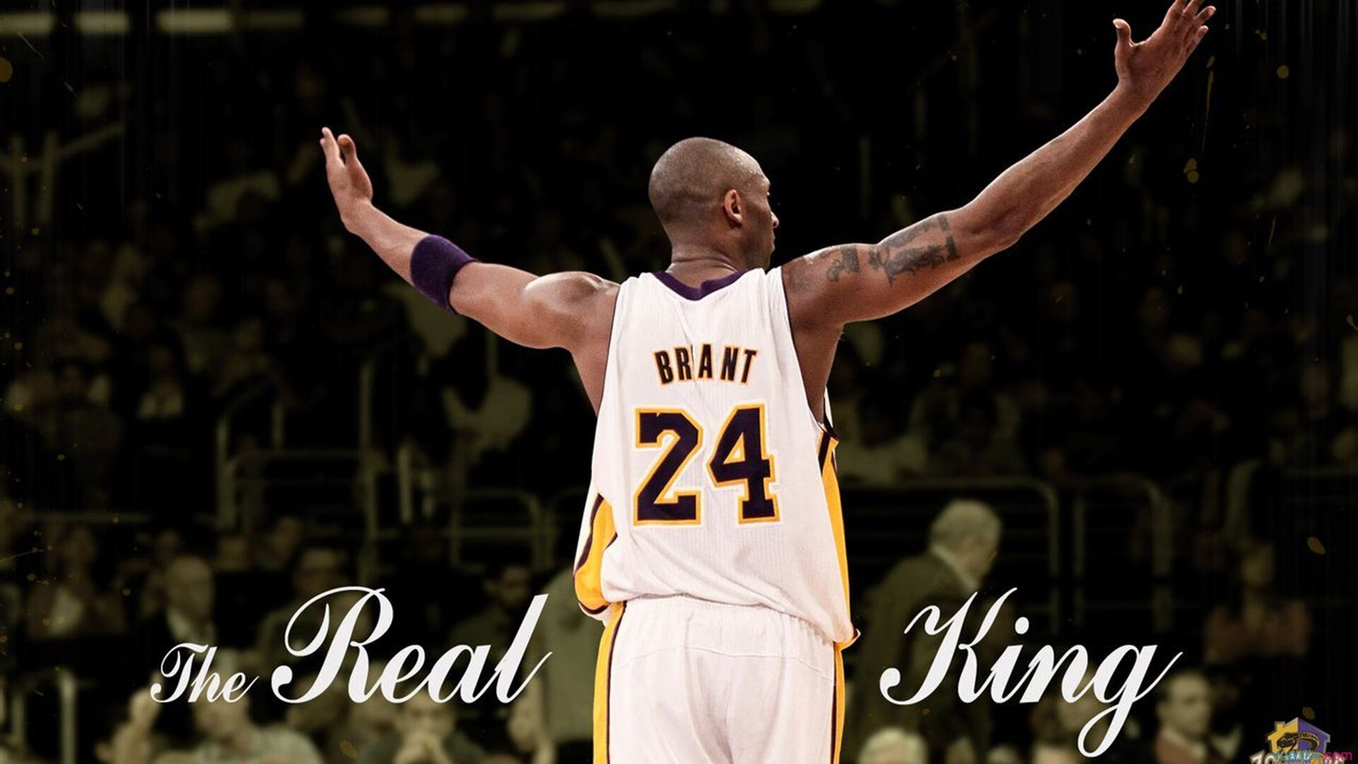 广东队粉碎公牛,利拉德关键节点连续得分,跨越时空的篮球叙事